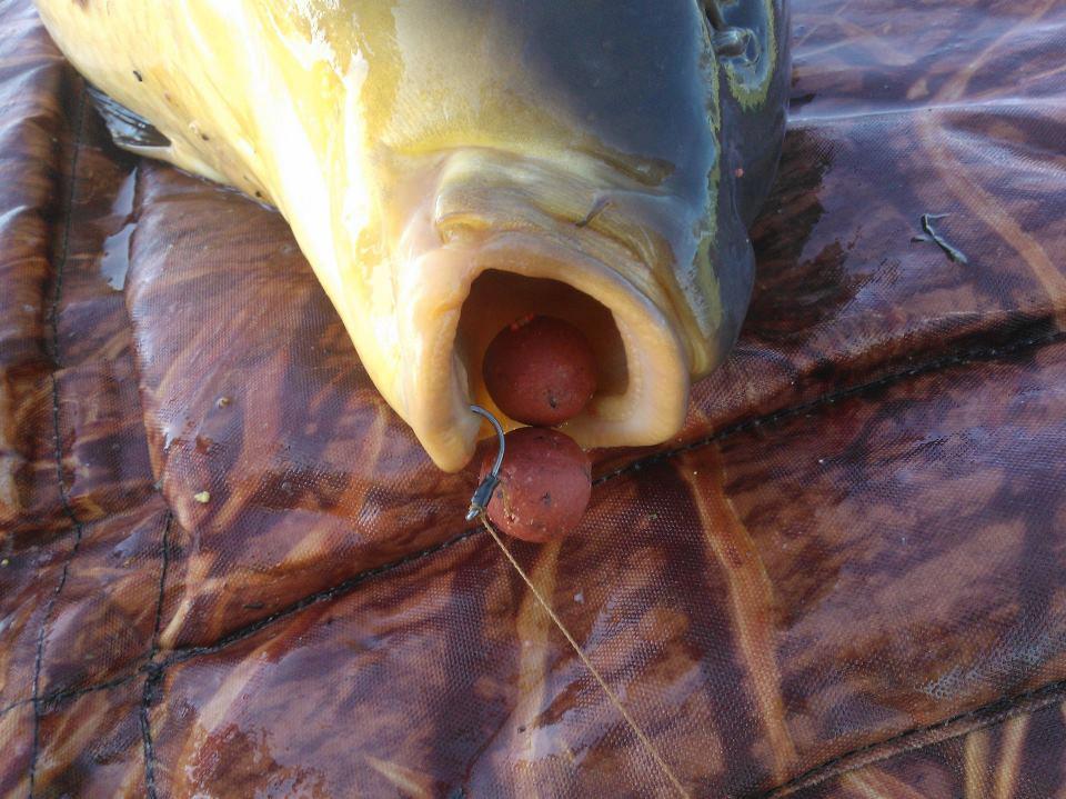 buza stufului.... :) - 731901144905320822952030504142n.jpg